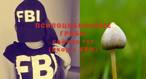 ALPHA PVP Алексин