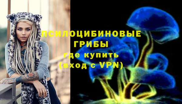 ALPHA PVP Алексин